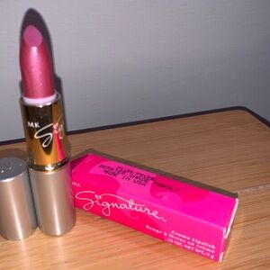 Mary Kay Lipstick in Plum